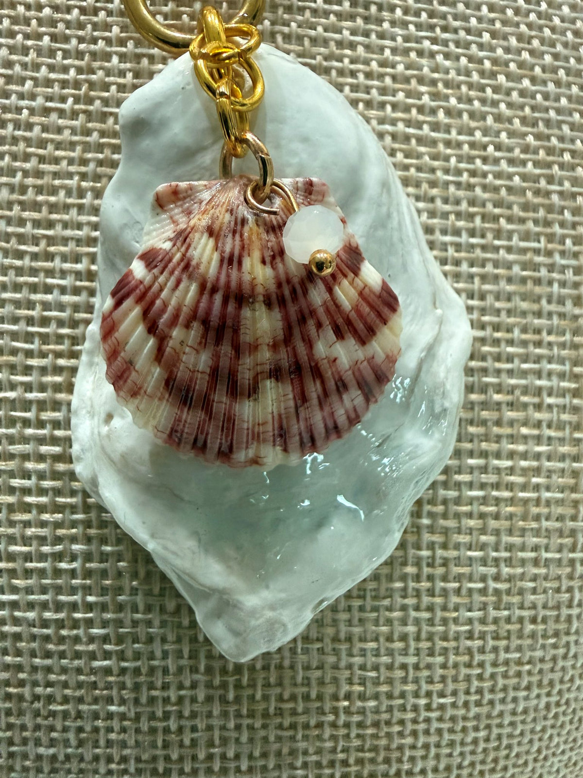 Close-up of the white oyster shell with a calico scallop shell and gold link